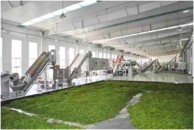 愈艱難，愈向前——農發行湖北分行戰疫戰貧兩不誤